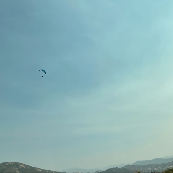 Meet your Posher, Marcella - Picture 10 of 17